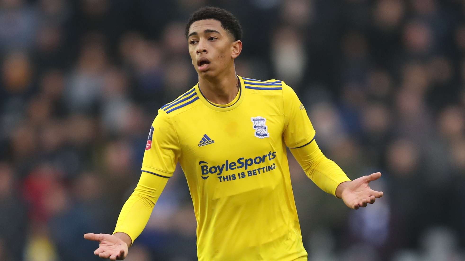 场地内的氛 场地内的氛