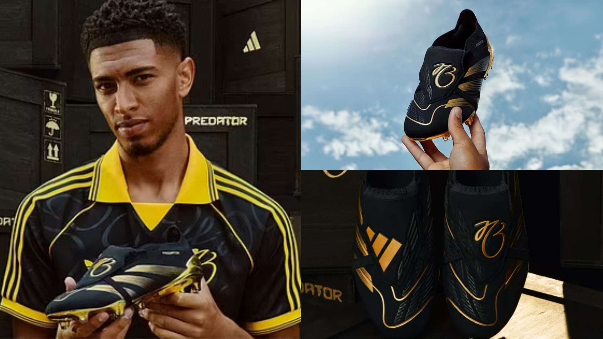 史与重要性 史与重要性